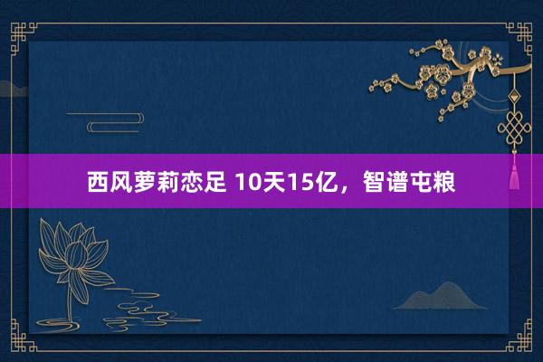 西风萝莉恋足 10天15亿，智谱屯粮