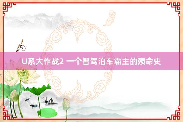 U系大作战2 一个智驾泊车霸主的殒命史