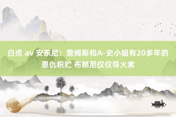 白虎 av 安东尼：詹姆斯和A-史小姐有20多年的恩仇积贮 布朗尼仅仅导火索