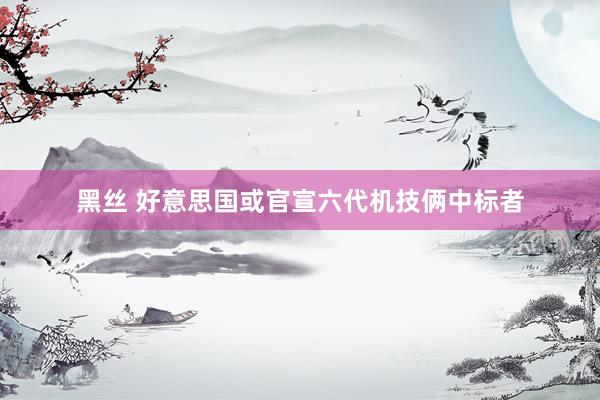 黑丝 好意思国或官宣六代机技俩中标者