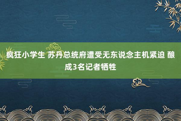 疯狂小学生 苏丹总统府遭受无东说念主机紧迫 酿成3名记者牺牲