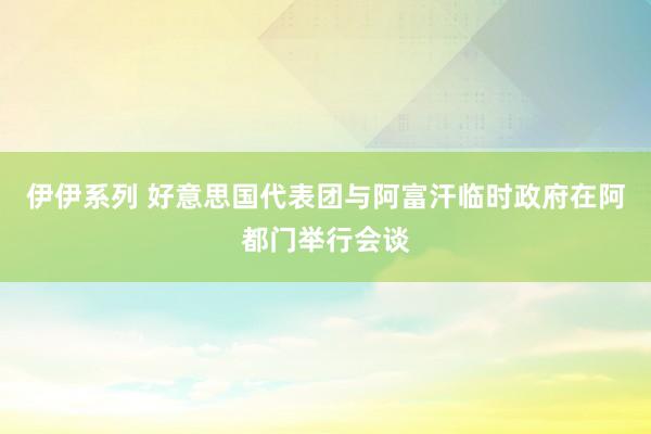 伊伊系列 好意思国代表团与阿富汗临时政府在阿都门举行会谈