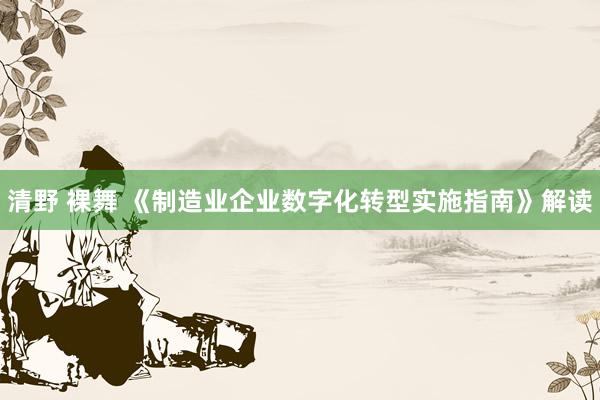 清野 裸舞 《制造业企业数字化转型实施指南》解读