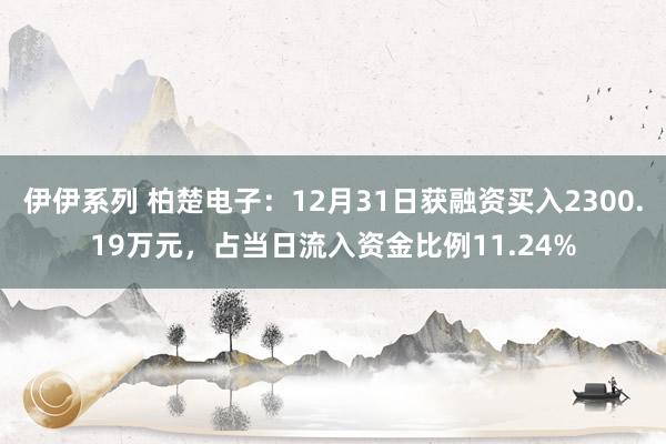 伊伊系列 柏楚电子：12月31日获融资买入2300.19万元，占当日流入资金比例11.24%
