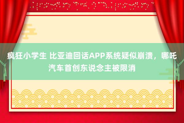 疯狂小学生 比亚迪回话APP系统疑似崩溃，哪吒汽车首创东说念主被限消