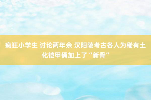 疯狂小学生 讨论两年余 汉阳陵考古各人为稀有土化铠甲俑加上了“新骨”
