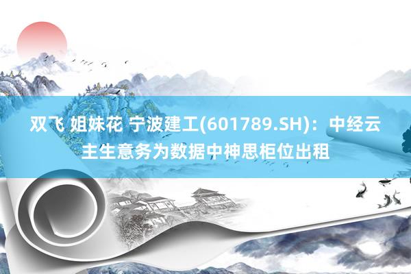 双飞 姐妹花 宁波建工(601789.SH)：中经云主生意务为数据中神思柜位出租