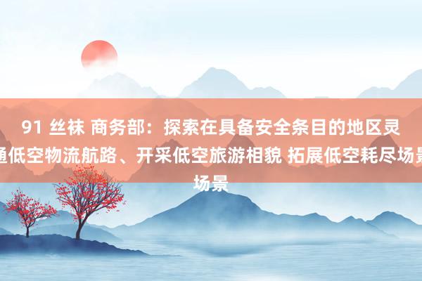 91 丝袜 商务部：探索在具备安全条目的地区灵通低空物流航路、开采低空旅游相貌 拓展低空耗尽场景