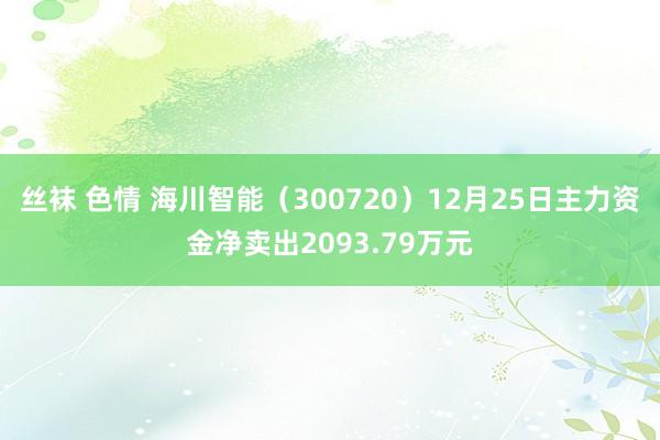 丝袜 色情 海川智能(300720)12月25日主力资金净卖出2093.79万元