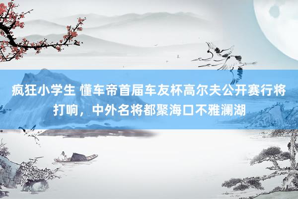 疯狂小学生 懂车帝首届车友杯高尔夫公开赛行将打响，中外名将都聚海口不雅澜湖