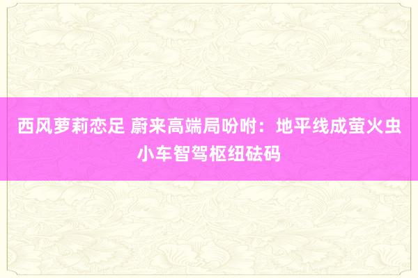 西风萝莉恋足 蔚来高端局吩咐：地平线成萤火虫小车智驾枢纽砝码