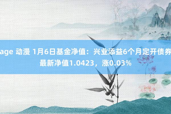 age 动漫 1月6日基金净值：兴业添益6个月定开债券最新净值1.0423，涨0.03%