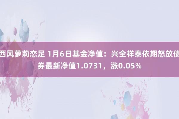 西风萝莉恋足 1月6日基金净值：兴全祥泰依期怒放债券最新净值1.0731，涨0.05%