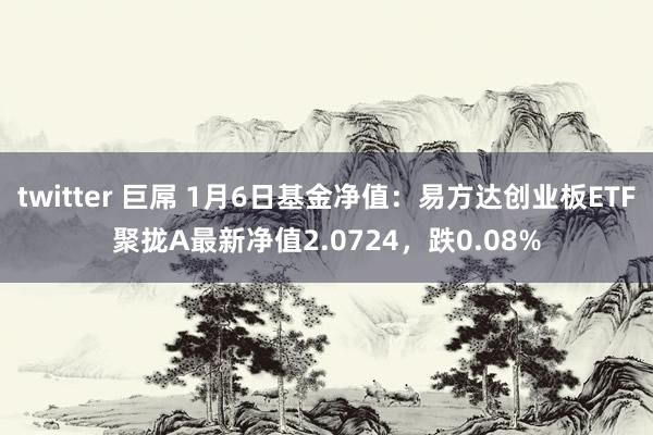 twitter 巨屌 1月6日基金净值：易方达创业板ETF聚拢A最新净值2.0724，跌0.08%