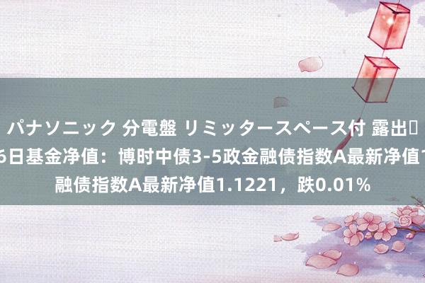 パナソニック 分電盤 リミッタースペース付 露出・半埋込両用形 1月6日基金净值：博时中债3-5政金融债指数A最新净值1.1221，跌0.01%