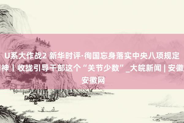 U系大作战2 新华时评·徇国忘身落实中央八项规定精神丨收拢引导干部这个“关节少数”_大皖新闻 | 安徽网