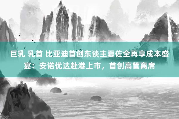 巨乳 乳首 比亚迪首创东谈主夏佐全再享成本盛宴：安诺优达赴港上市，首创高管离席