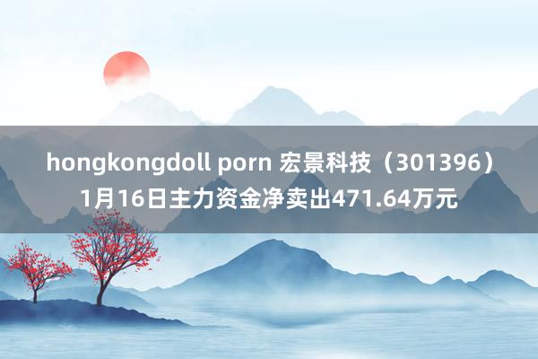 hongkongdoll porn 宏景科技（301396）1月16日主力资金净卖出471.64万元
