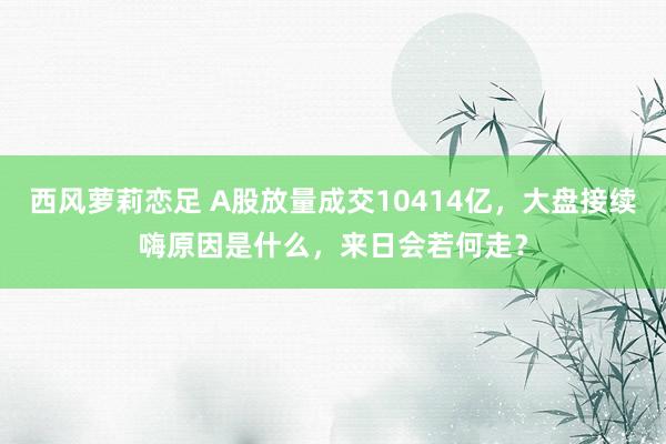 西风萝莉恋足 A股放量成交10414亿，大盘接续嗨原因是什么，来日会若何走？