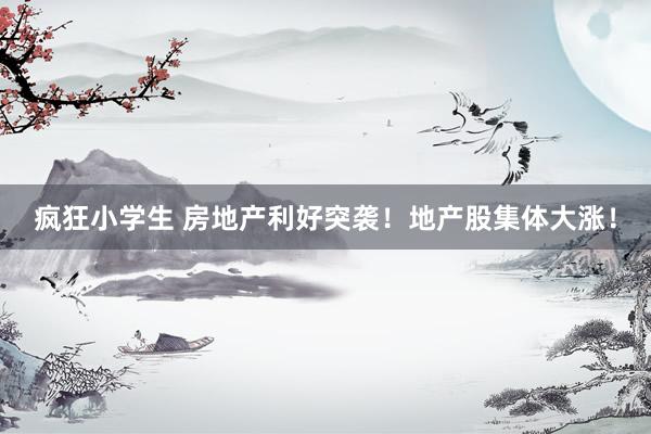 疯狂小学生 房地产利好突袭！地产股集体大涨！