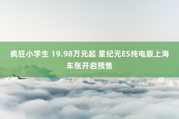 疯狂小学生 19.98万元起 星纪元ES纯电版上海车张开启预售