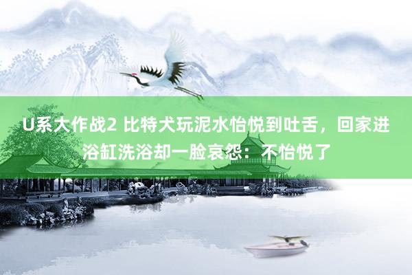 U系大作战2 比特犬玩泥水怡悦到吐舌，回家进浴缸洗浴却一脸哀怨：不怡悦了